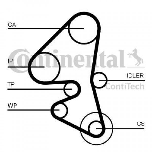 CONTITECH CT1162 TRIGER EKSANTRIK KAYISI 207 308 3008 / C3 BERLINGO / CMAX FIESTA FOCUS 1.6 HDI DV6 141x254