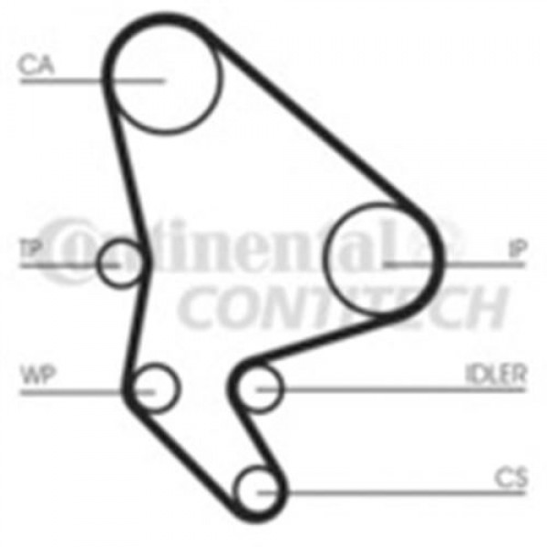 CONTITECH CT547 TRIGER EKSANTRIK KAYISI 071×178 POLO 1.3D 8V 86-