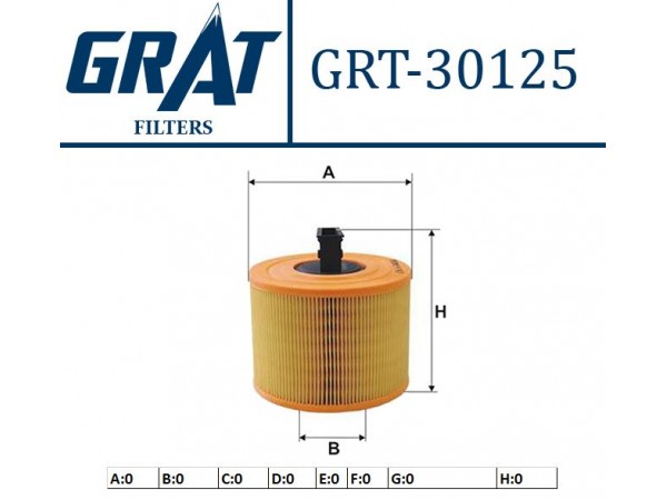 GRAT 30125 HAVA FILTRESI BMW 3 E90 E91 E93 BMW X1 E84 04-