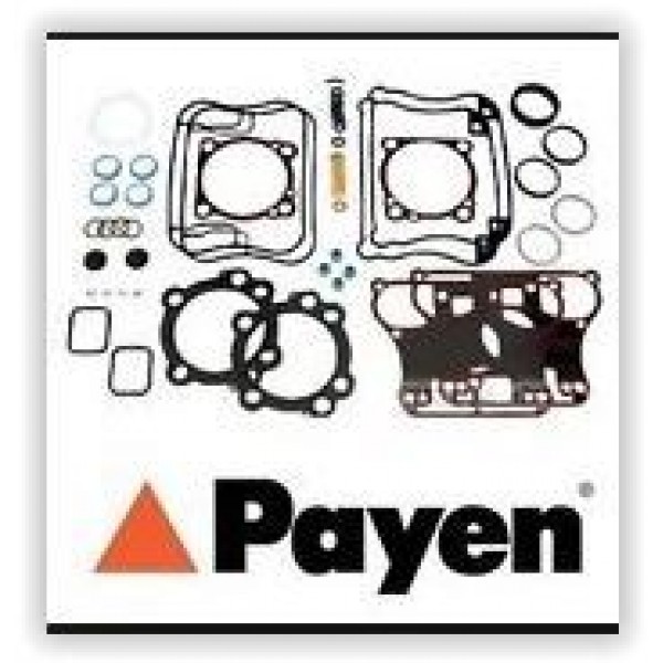 PAYEN DX391 MOTOR TAKIM CONTA ÜST 2.8 TDI S9W 2.8 TD