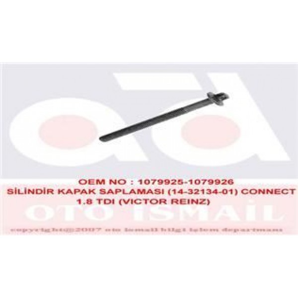 REINZ 14-32134-1 SILINDIR KAPAK SAPLAMASI CIVATASI TRANSIT CONNECT 1.8 TDCI